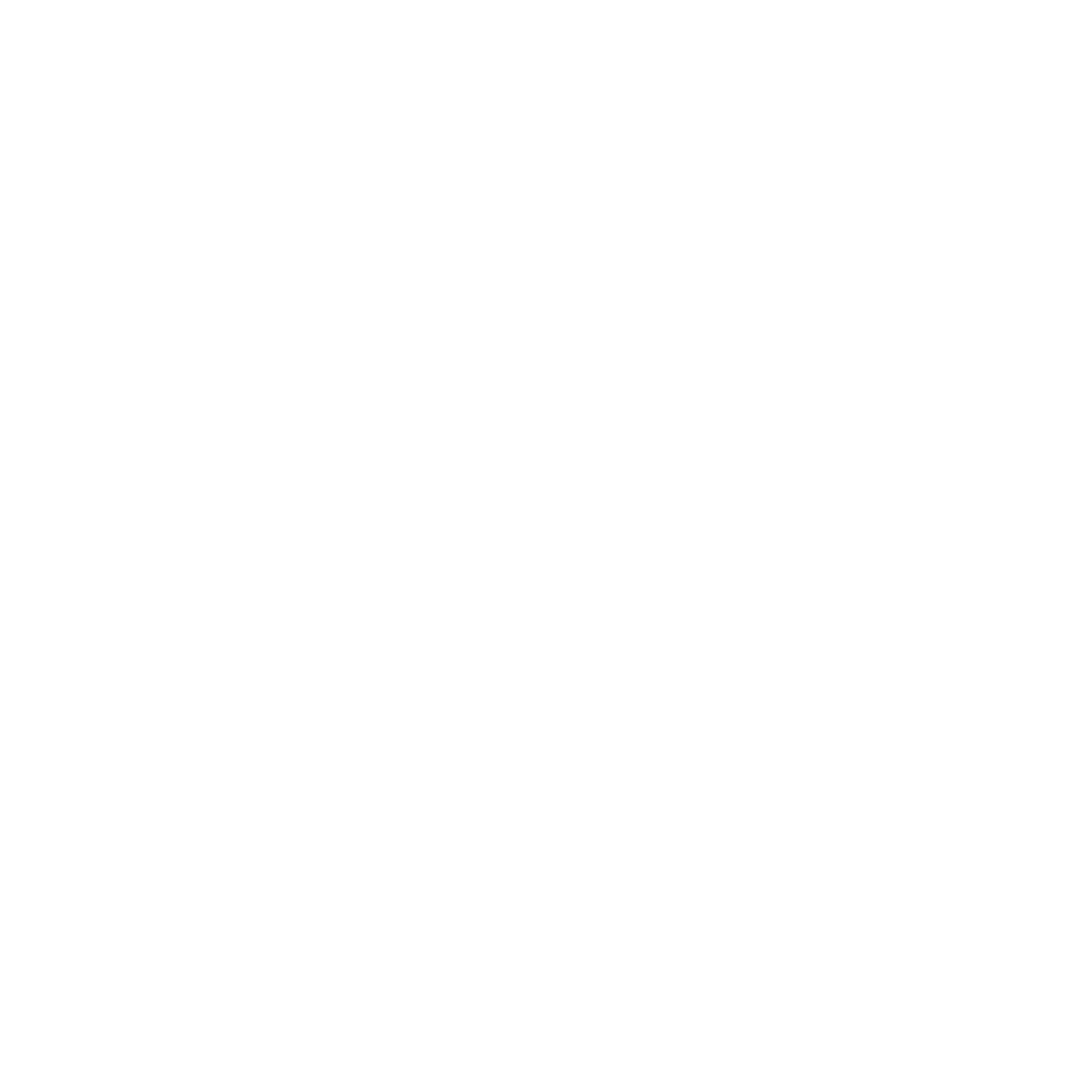 Company Logo 2