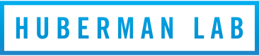 Company Logo 5