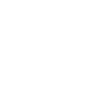 Company Logo 2